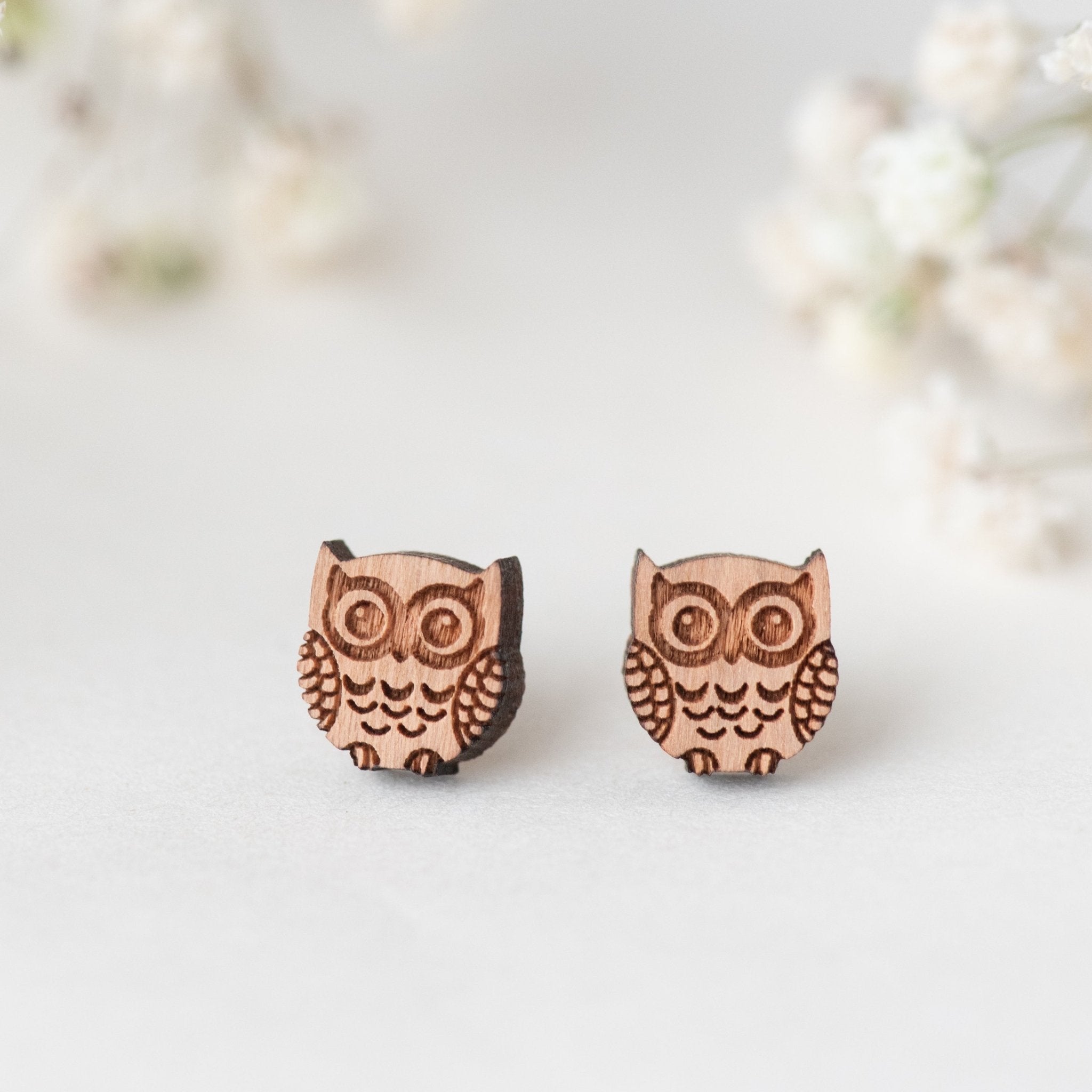 Big Eye Owl Earrings - EB12005 - Robin Valley Official Store